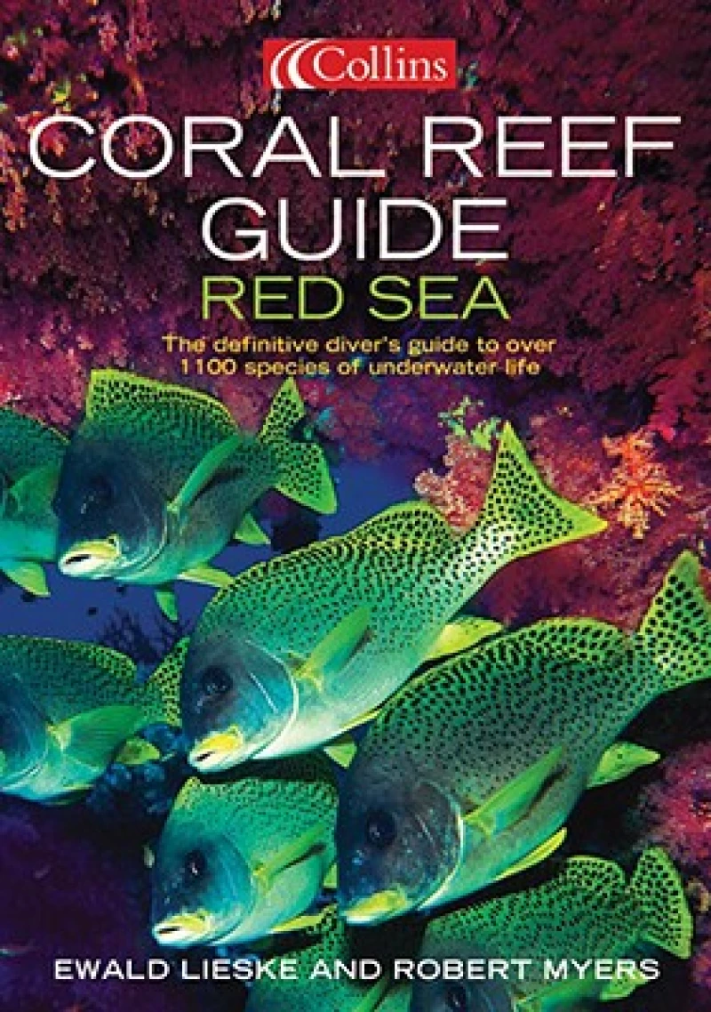Coral Reef Guide Red Sea