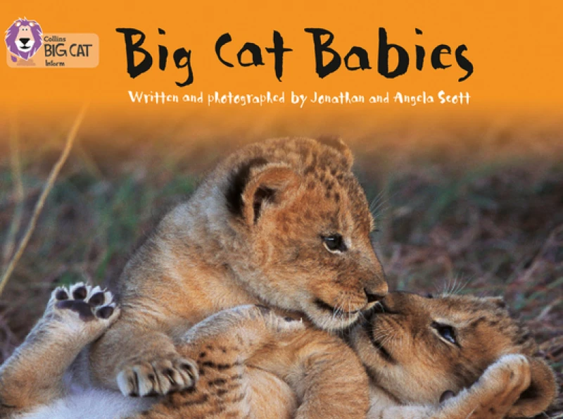 Big Cat Babies