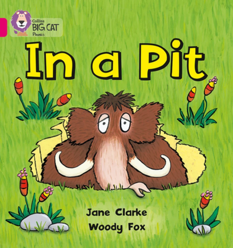 BIG CAT PHONICS - IN A PIT