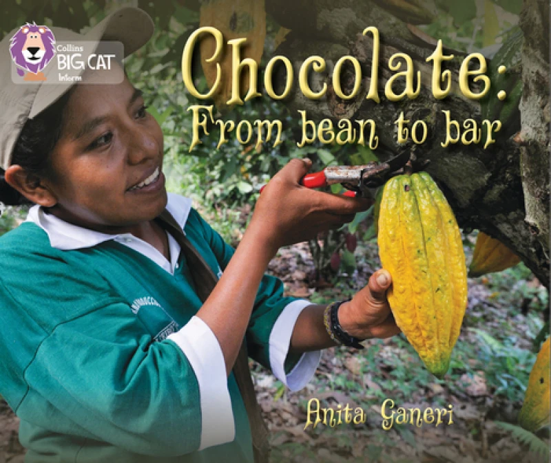 BIG CAT - CHOCOLATE