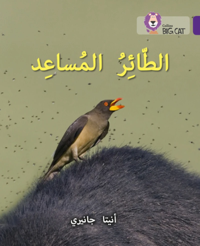BIG CAT ARABIC - HELPER BIRD