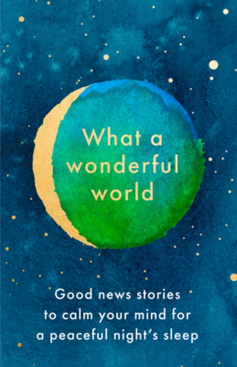 WHAT WONDERFUL WORLD PLC