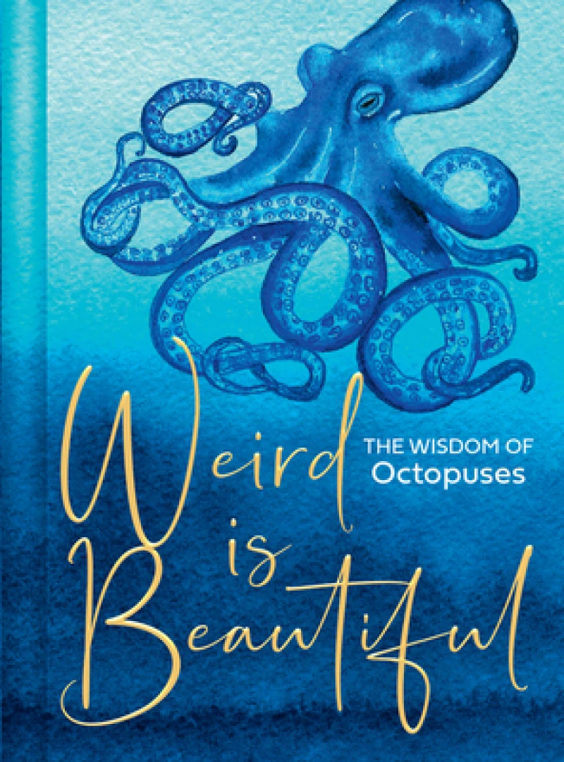 WEIRD IS BEAUTIFUL PLC