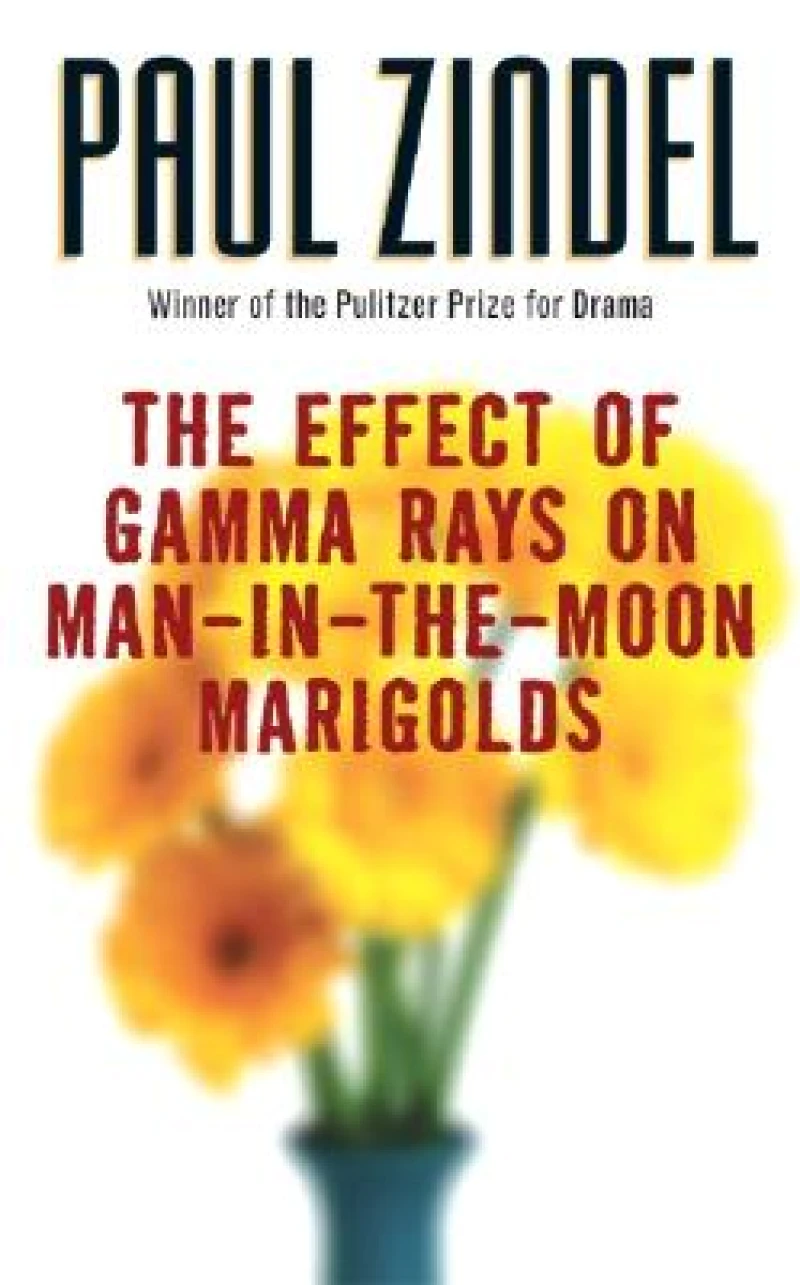 The Effect Of Gamma Rays On Man-in-the-Moon Marigolds