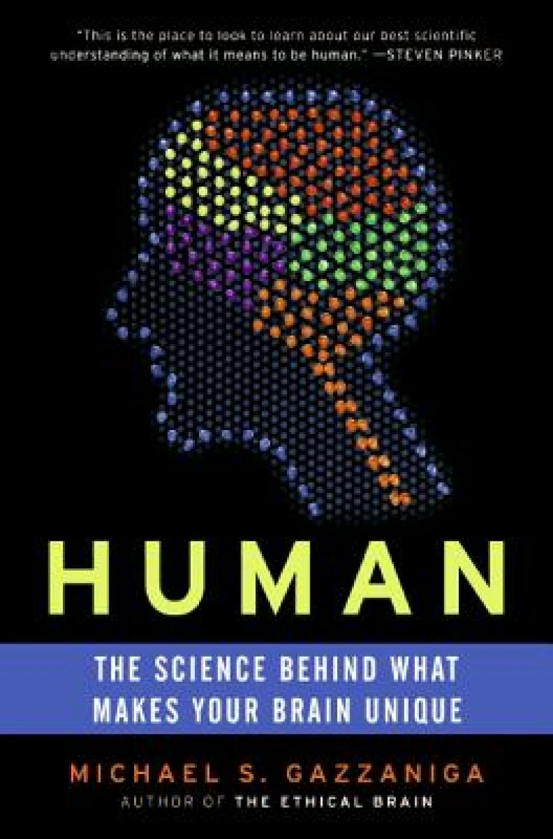 Human