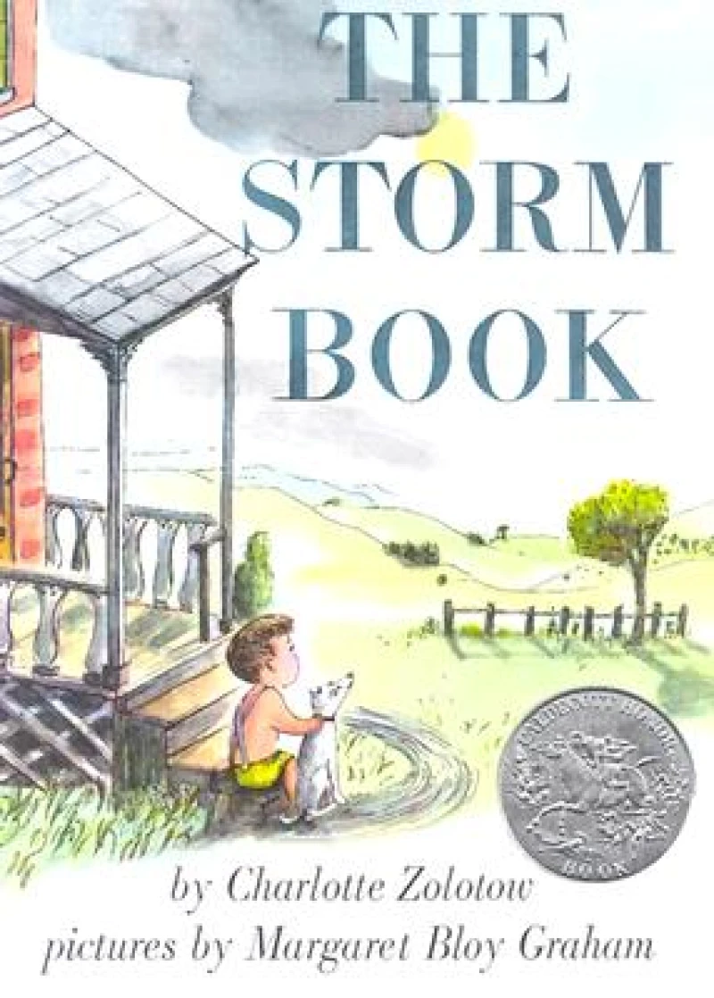The Storm Book