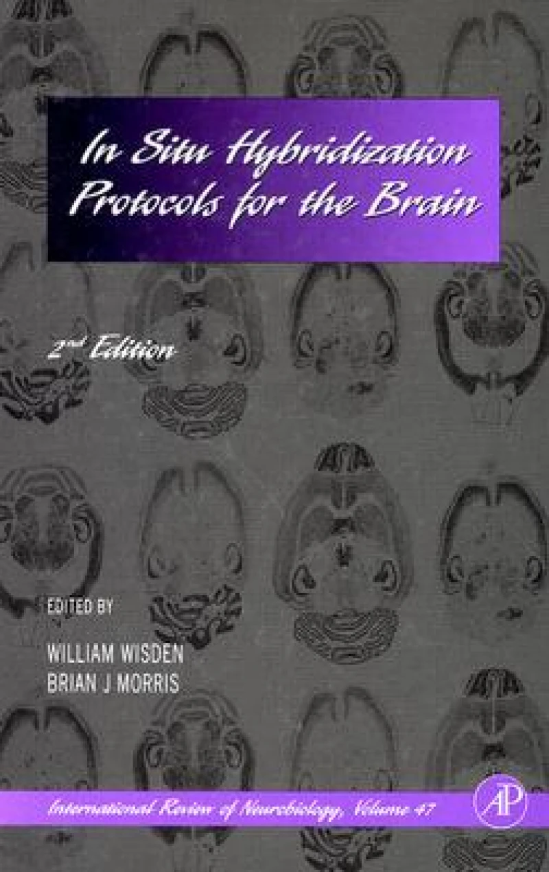 In Situ Hybridization Protocols for the Brain