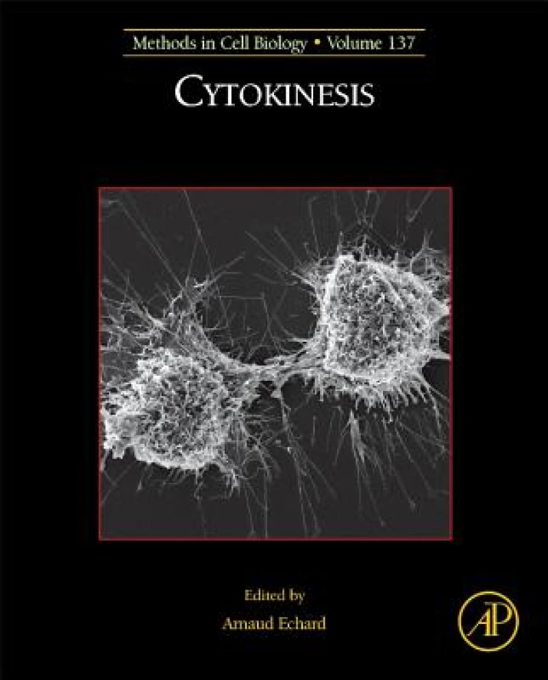 Cytokinesis