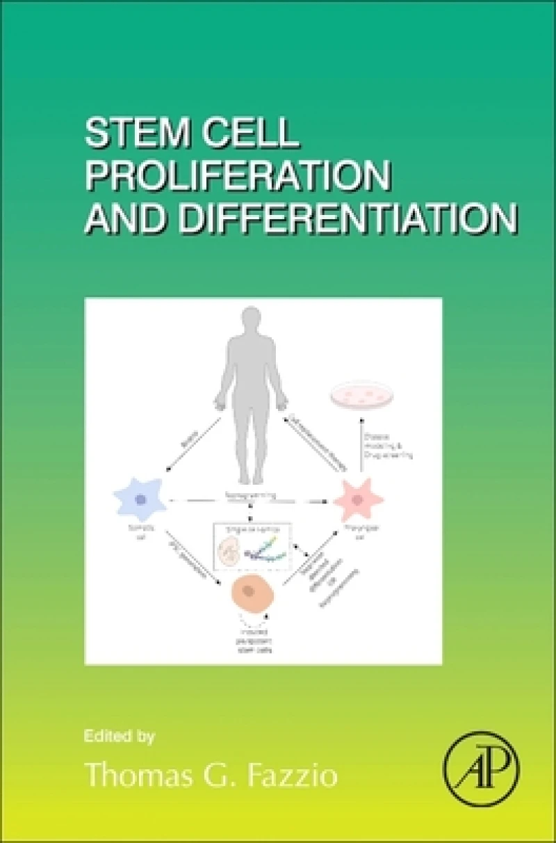 Stem Cell Proliferation and Differentiation