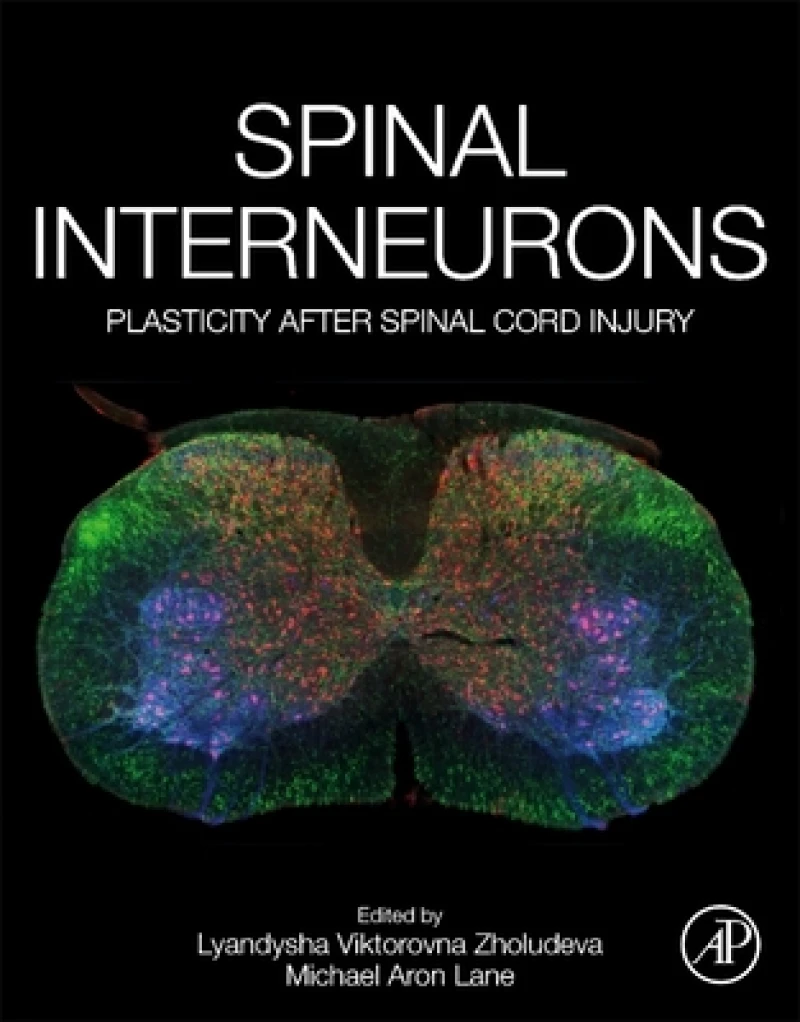 Spinal Interneurons