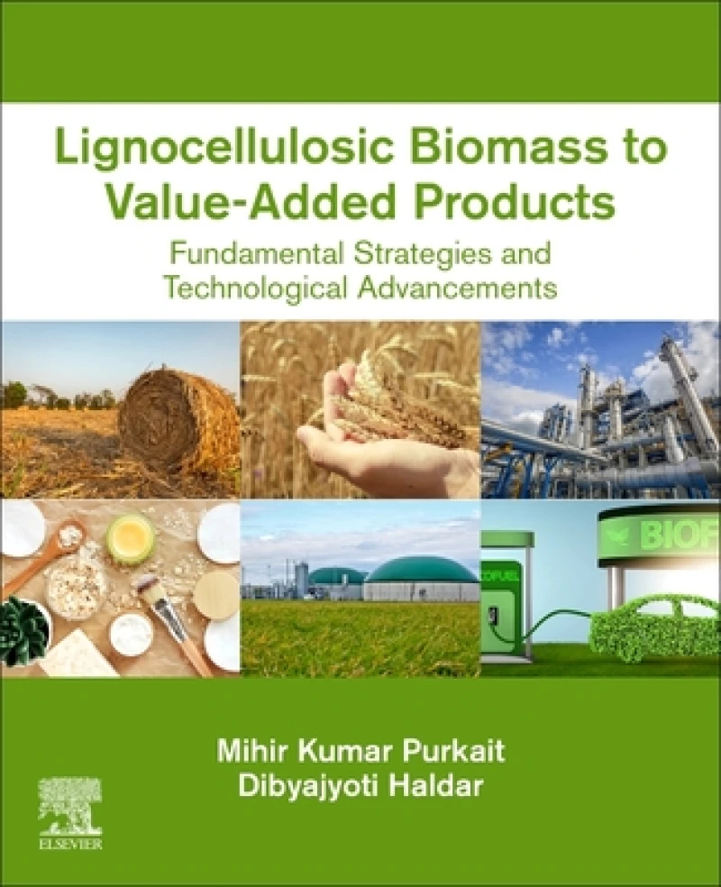 Lignocellulosic Biomass to Value-Added Products