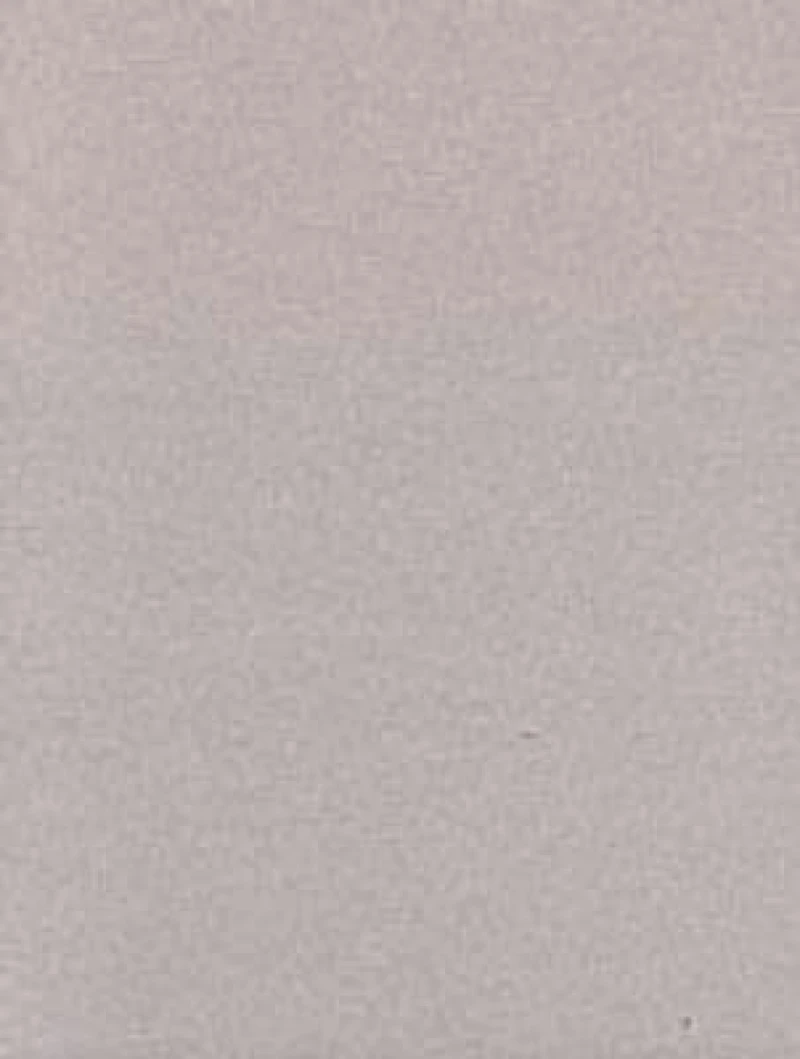 Social Foundations of Thought and Action