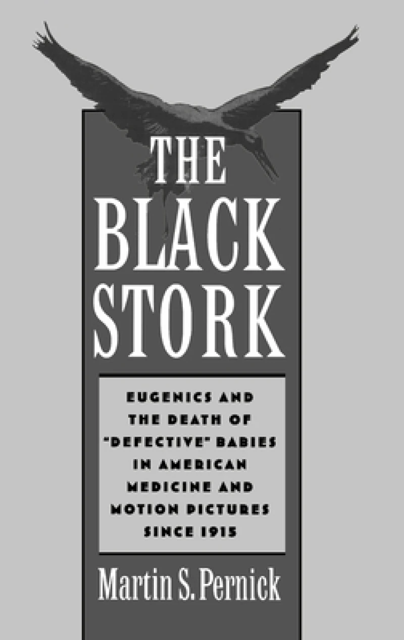 The Black Stork