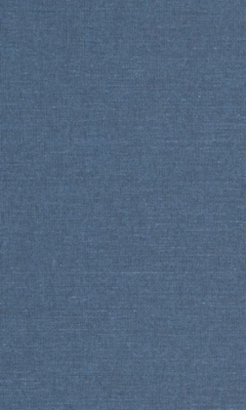 Southern Families at War