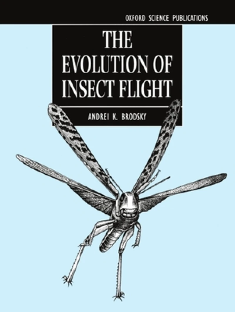 The Evolution of Insect Flight