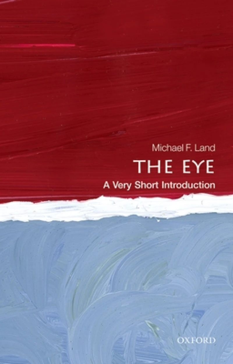 The Eye