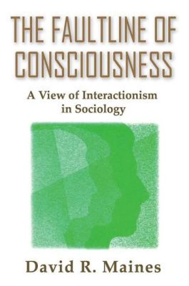 The Faultline of Consciousness
