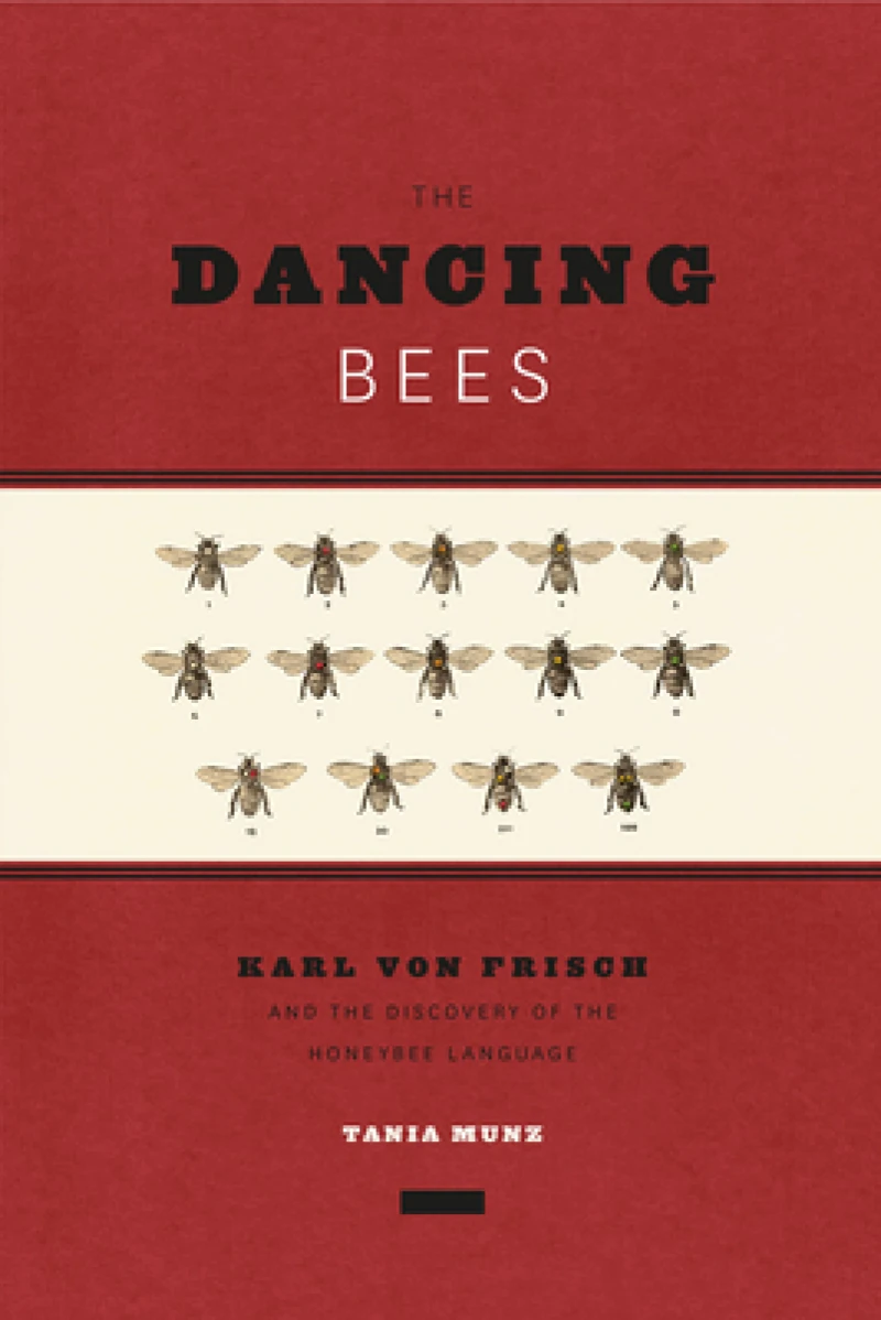 The Dancing Bees