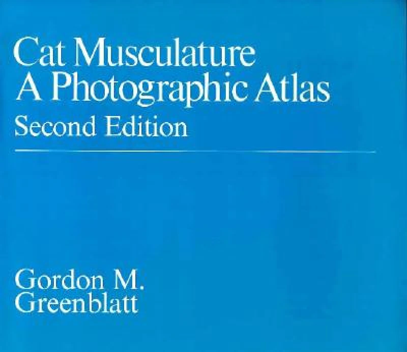Cat Musculature