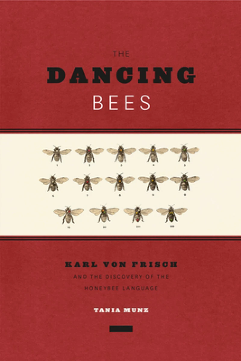 The Dancing Bees