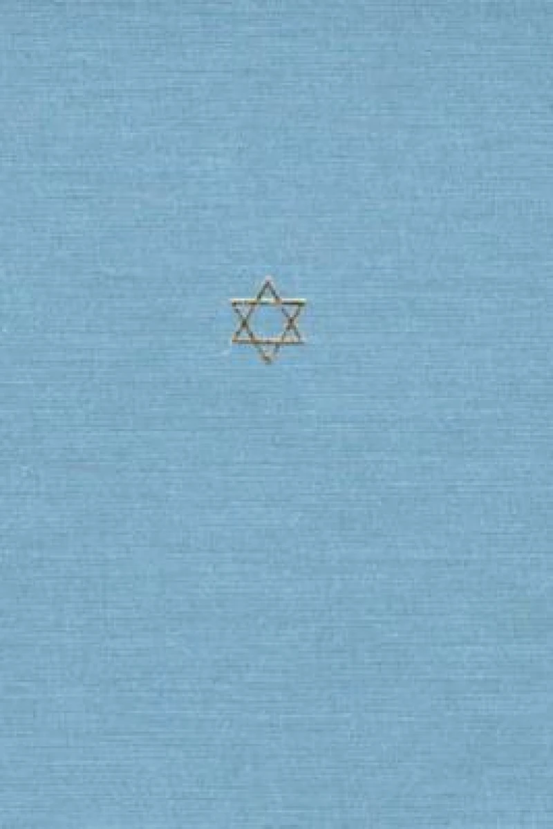 The Talmud of the Land of Israel: Sanhedrin and Makkot v. 31