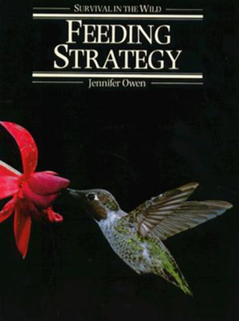 Feeding Strategy