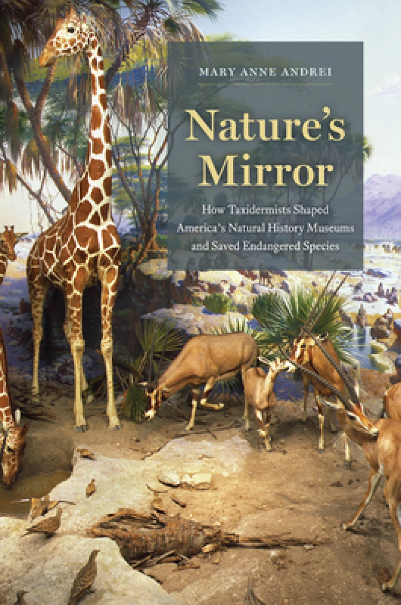 Nature's Mirror