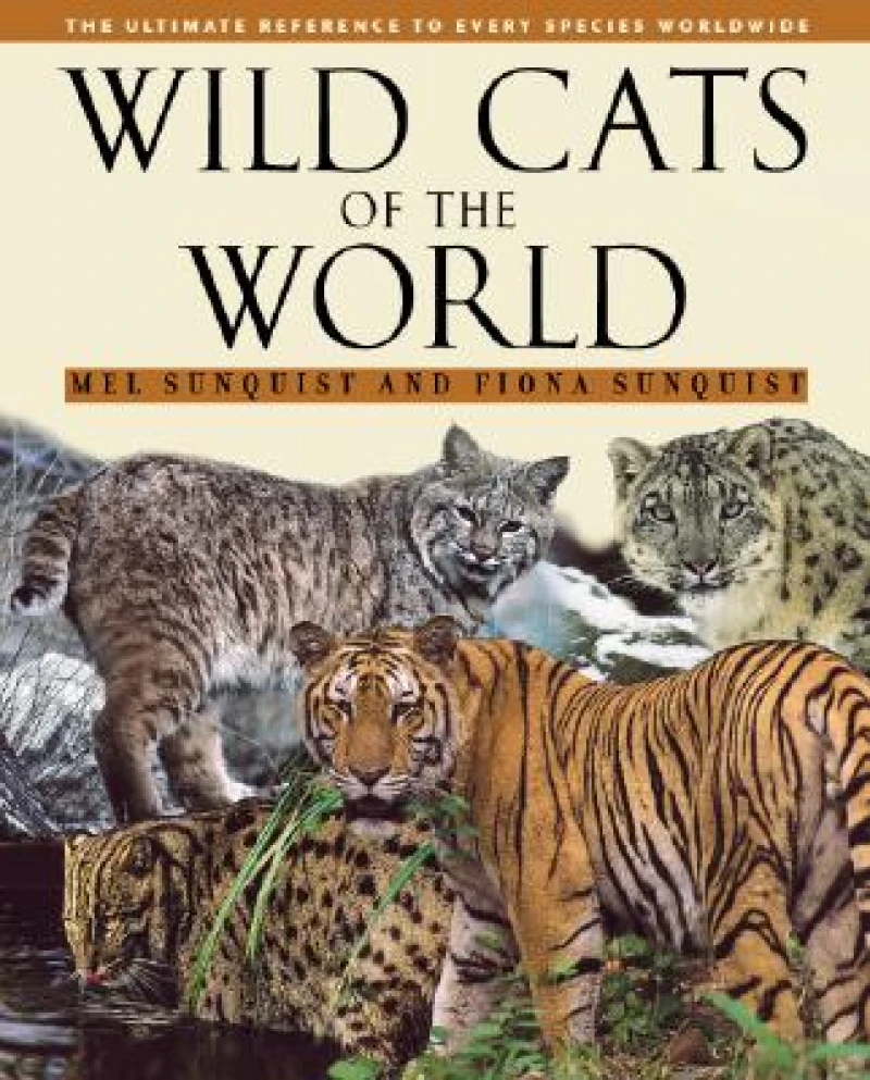 Wild Cats of the World