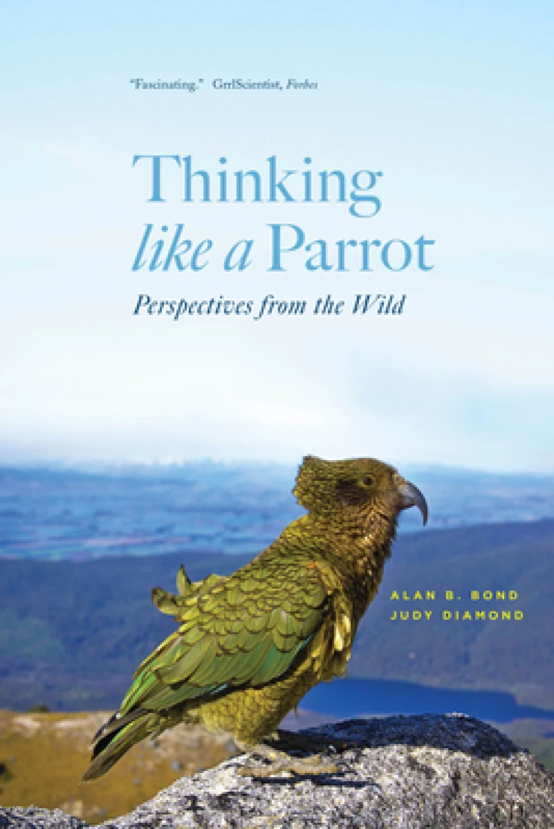 Thinking like a Parrot – Perspectives from the Wild