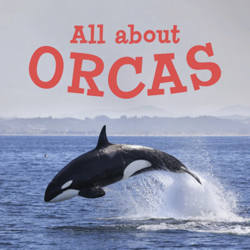 All about Orcas