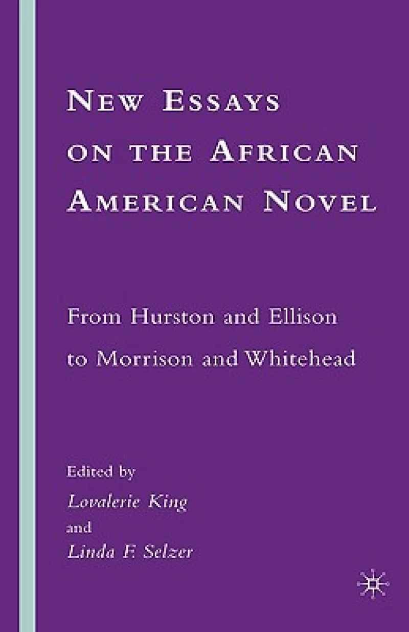 New Essays on the African American Novel
