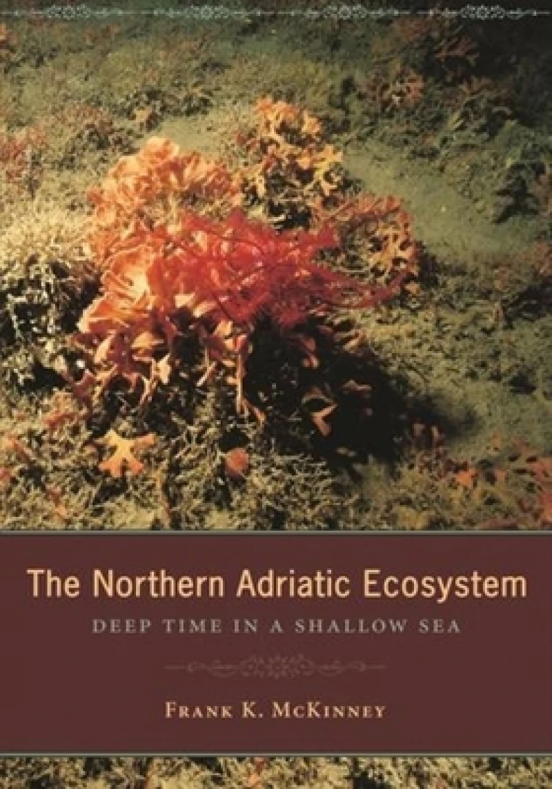 The Northern Adriatic Ecosystem