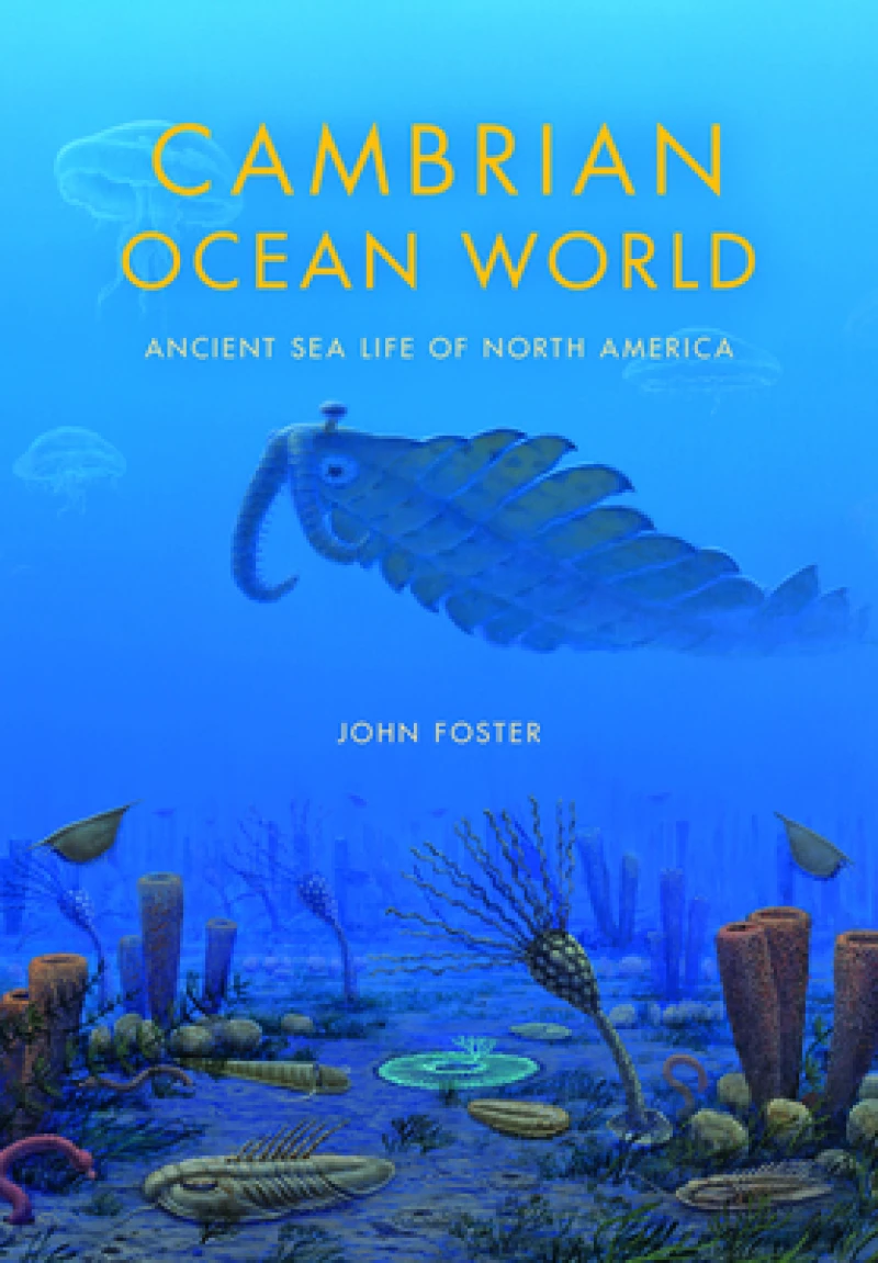 Cambrian Ocean World