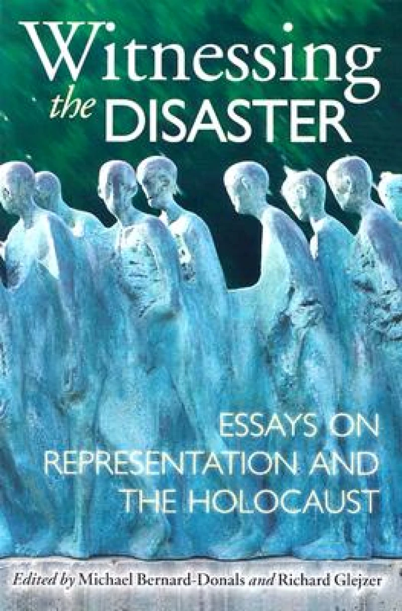 Witnessing the Disaster