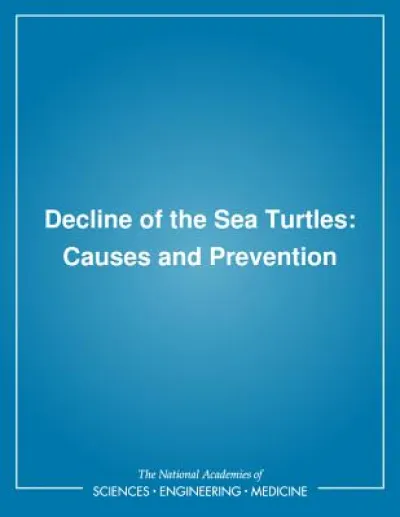 Decline of the Sea Turtles