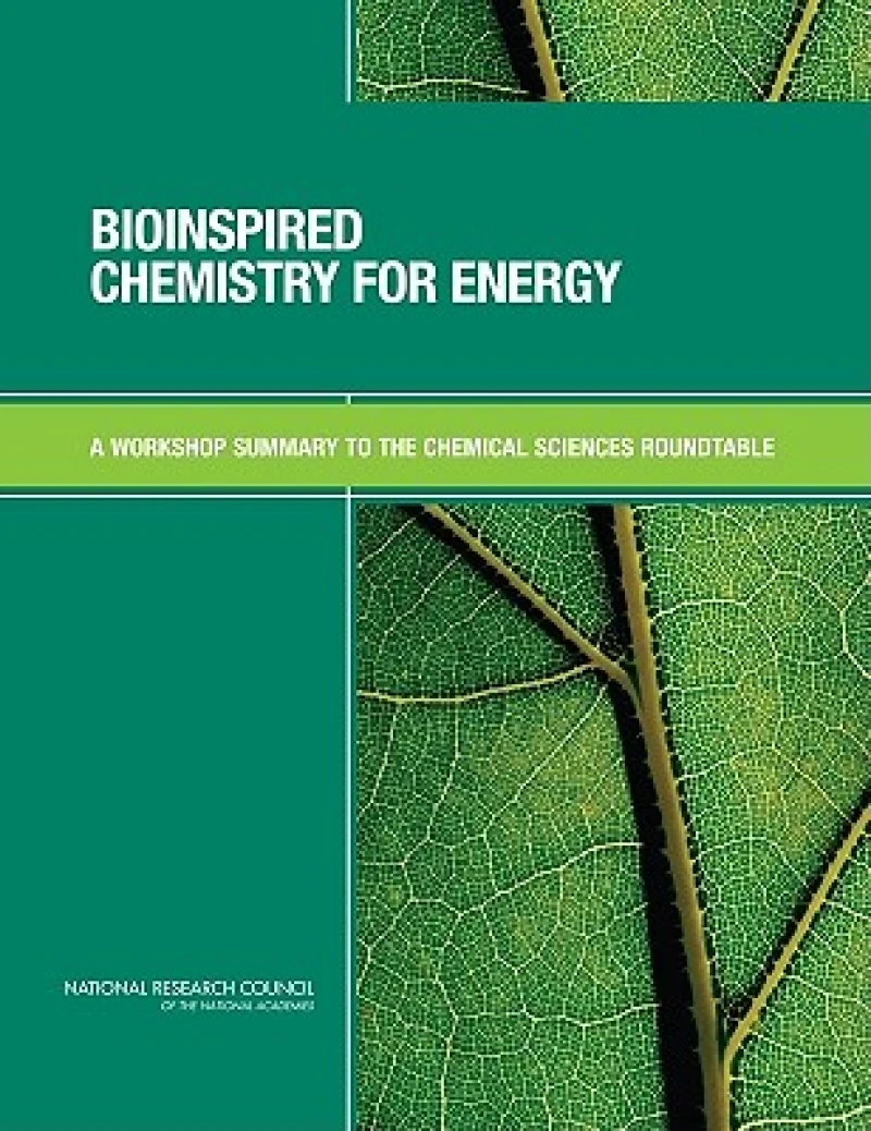 Bioinspired Chemistry for Energy