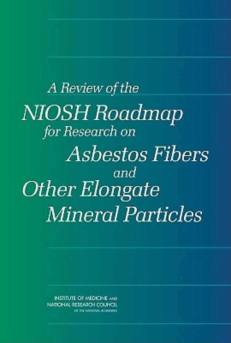 A Review of the NIOSH Roadmap for Research on Asbestos Fibers and Other Elongate Mineral Particles