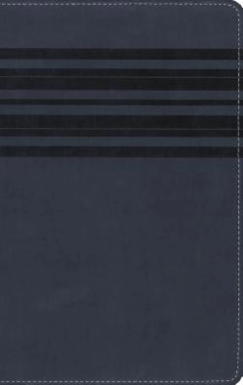 NIrV, Holy Bible, Large Print, Leathersoft, Blue