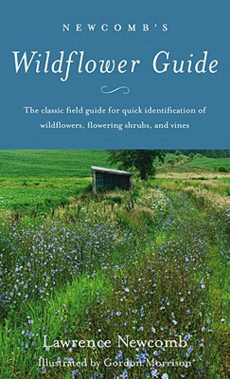 Newcomb''s Wildflower Guide