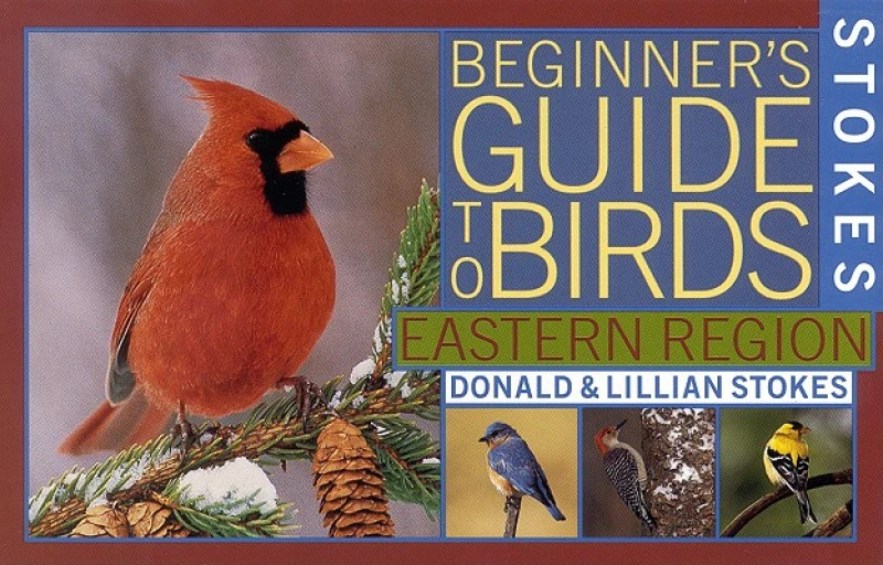 Stokes Beginner''s Guide to Birds