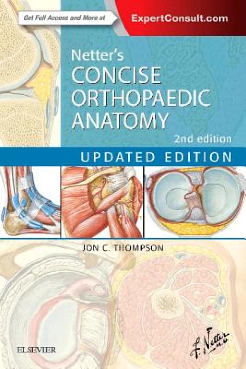 Netter's Concise Orthopaedic Anatomy, Updated Edition