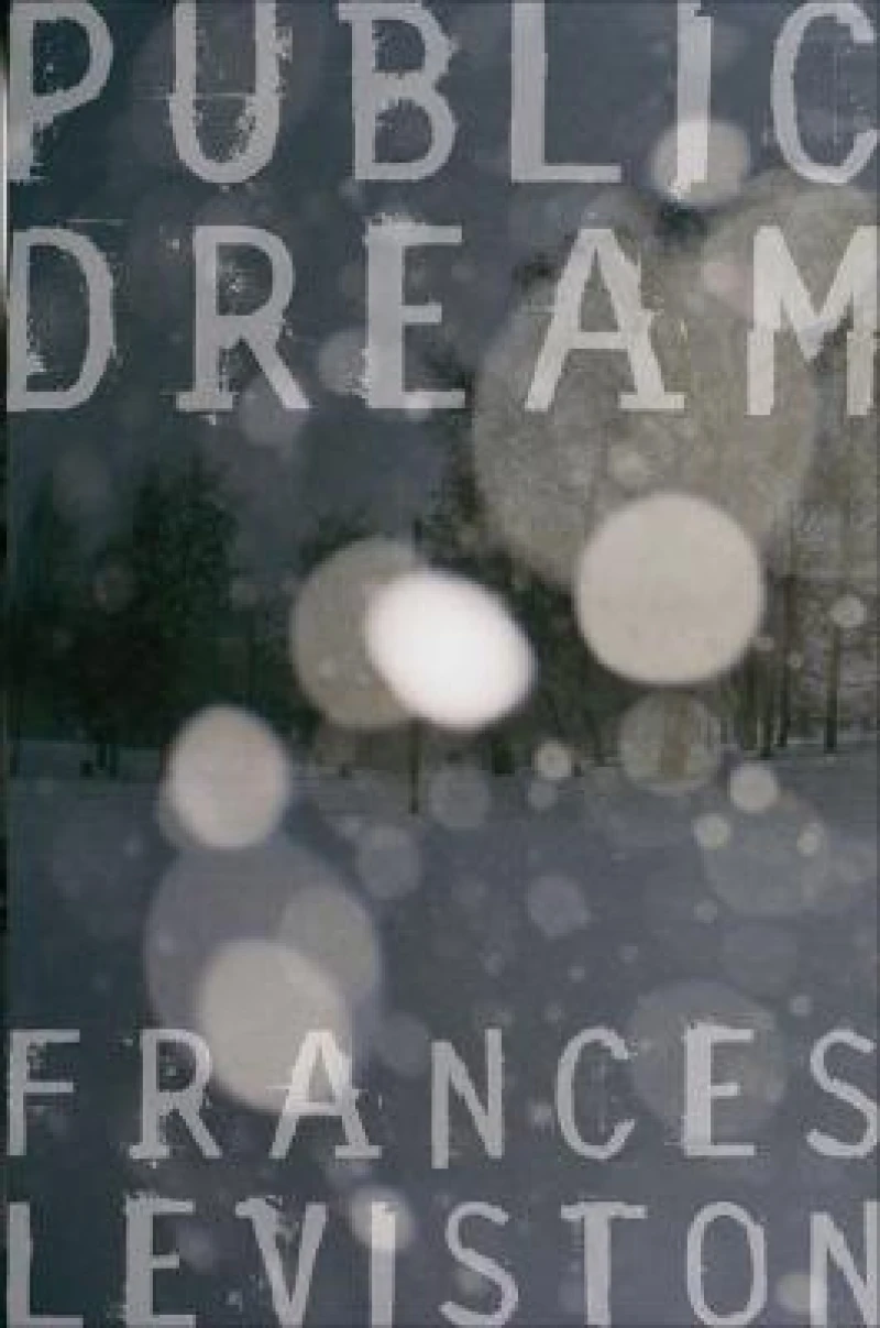 Public Dream