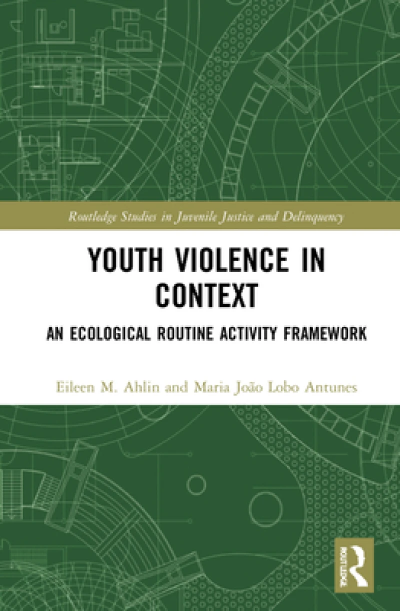 Youth Violence in Context