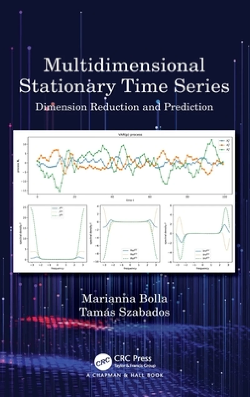 Multidimensional Stationary Time Series