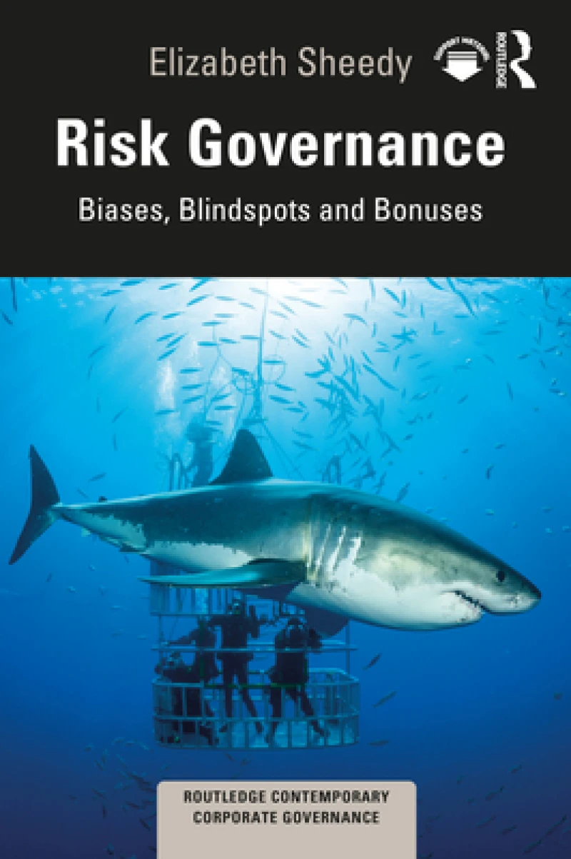 Risk Governance