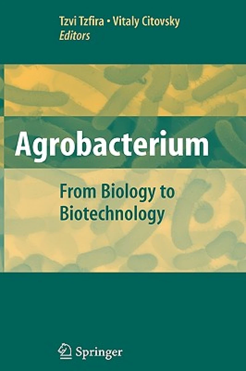 Agrobacterium