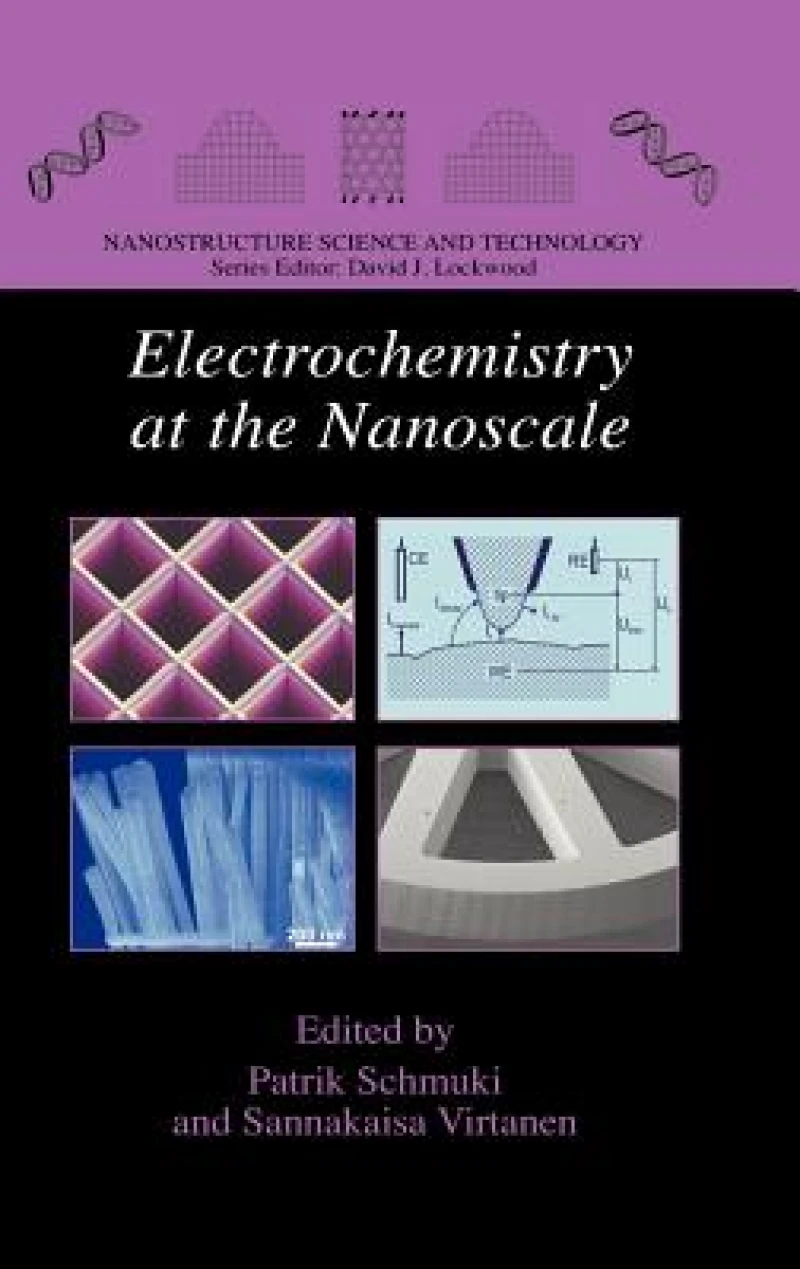 Electrochemistry at the Nanoscale