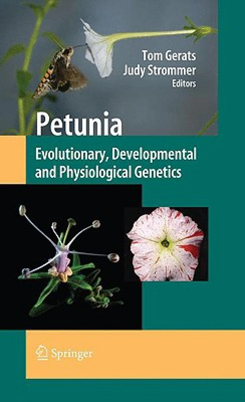 Petunia