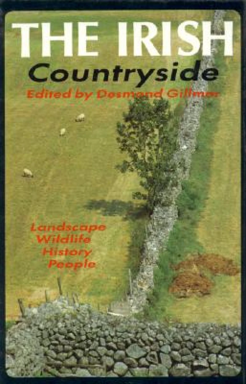 The Irish Countryside