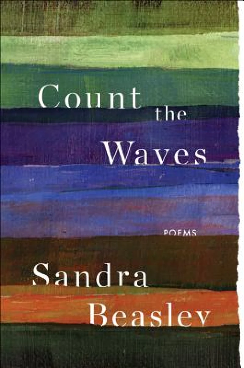 Count the Waves